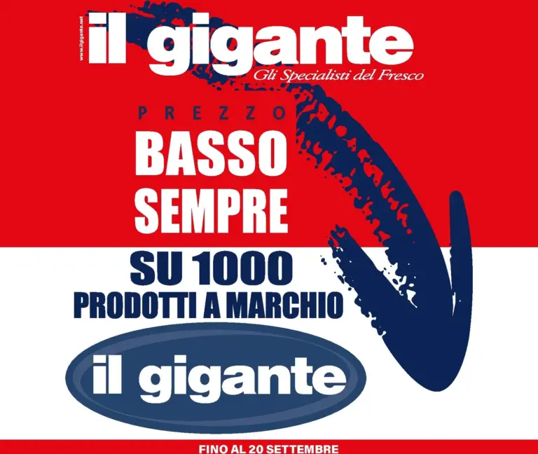 Il Gigante Volantini dal 16.07.2026