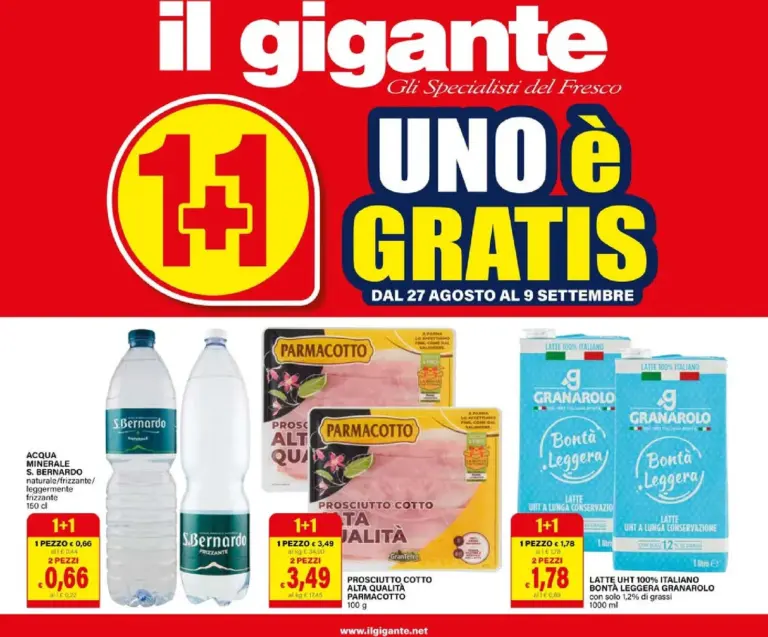 Il Gigante Volantini dal 27.08.2026