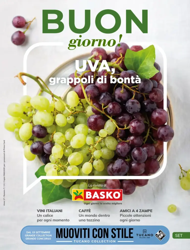 Basko Volantini dal 01.09.2026